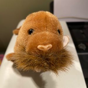 COPY - Retired ty beanie baby, Paul the walrus.